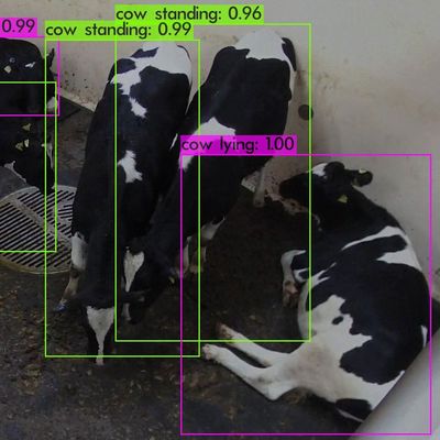 Kuhtracking mittels Computer Vision