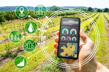 Symbolbild: Digitale Technologie in der Landwirtschaft, mit einer App auf dem Feld