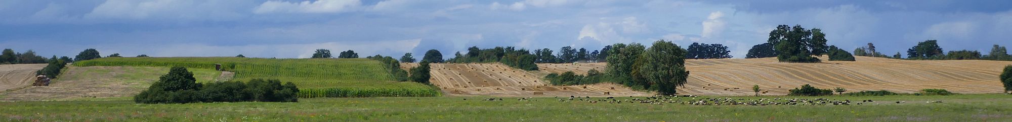 Diverse Agrarlandschaft